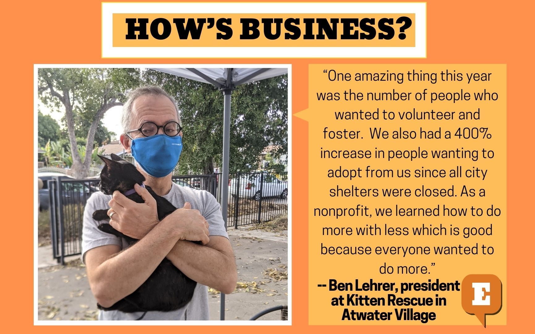 How's Business Kitten Rescue